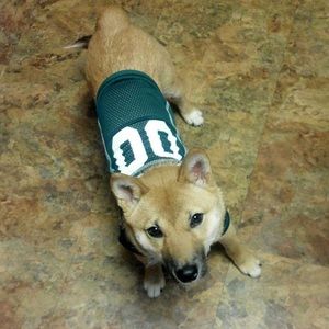 Meet your Posher, Roberto